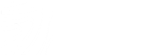 AVVA-New logo-white-002